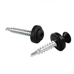 PAROTEC Trapezblechschrauben 4,8 mm x 35 mm, 250 Stück Selbstschneidende Schrauben mit EPDM Dichtscheibe Torx Linsenkopf