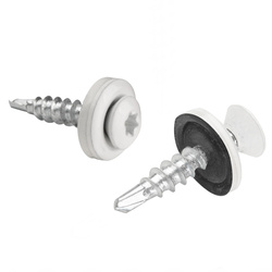 PAROTEC Trapezblechschrauben 4,8 mm x 20 mm, 250 Stück Selbstschneidende Schrauben mit EPDM Dichtscheibe Torx Linsenkopf