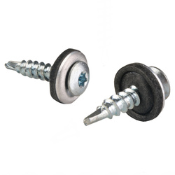 PAROTEC Trapezblechschrauben 4,8 mm x 20 mm, 250 Stück Selbstschneidende Schrauben mit EPDM Dichtscheibe Torx Linsenkopf